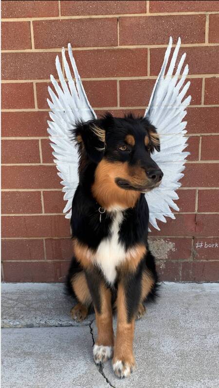 Entry image for Oakley. Clicking this image will show a larger photo