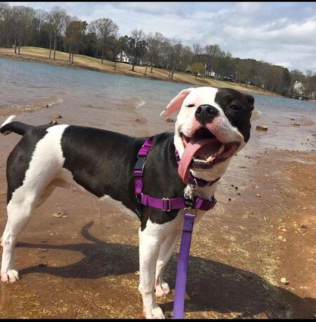 Entry image for Roxanne. Clicking this image will show a larger photo