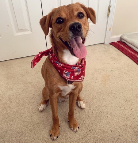 Entry image for Bebe. Clicking this image will show a larger photo