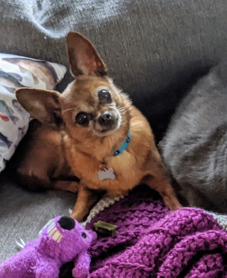 Entry image for Bert. Clicking this image will show a larger photo