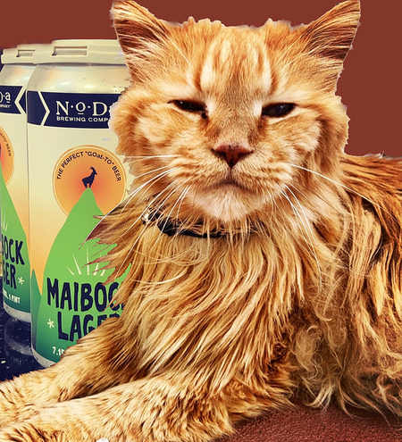 Entry image for LJ. Clicking this image will show a larger photo