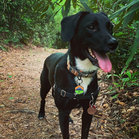 Entry image for Mags. Clicking this image will show a larger photo