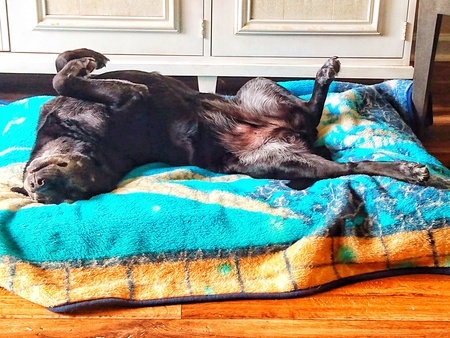 Entry image for Stryker. Clicking this image will show a larger photo