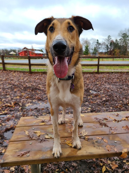 Entry image for Eoin. Clicking this image will show a larger photo