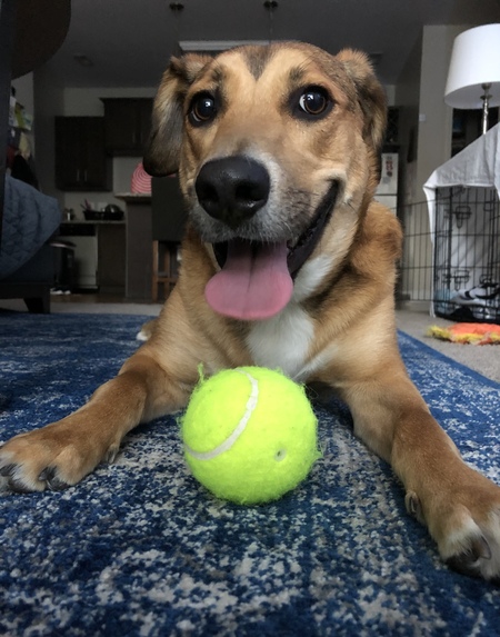 Entry image for Luke. Clicking this image will show a larger photo