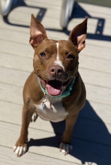 Entry image for Julep. Clicking this image will show a larger photo