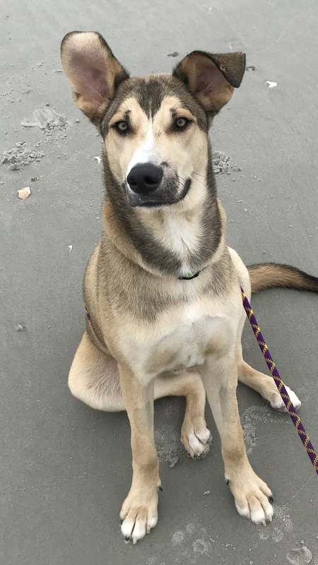 Entry image for Txako. Clicking this image will show a larger photo