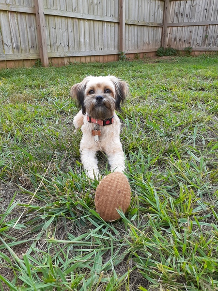 Entry image for Laya Ayri. Clicking this image will show a larger photo