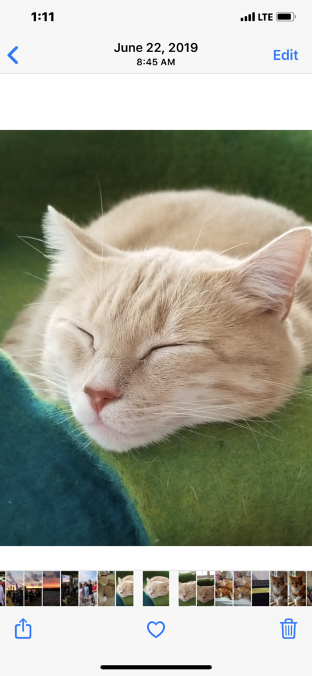 Entry image for Isaac. Clicking this image will show a larger photo