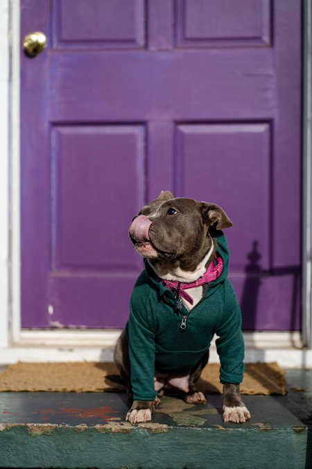 Entry image for Meatball. Clicking this image will show a larger photo