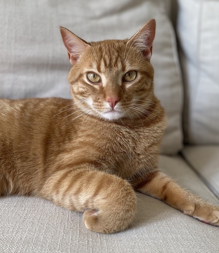 Entry image for Tony. Clicking this image will show a larger photo