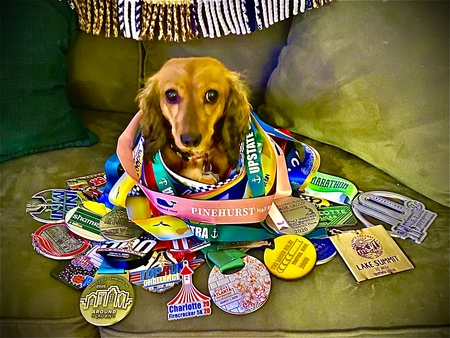 Entry image for Bella . Clicking this image will show a larger photo