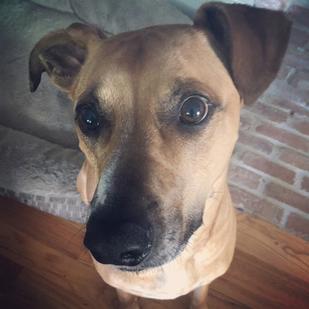 Entry image for Seamus “Moose Moosio”. Clicking this image will show a larger photo