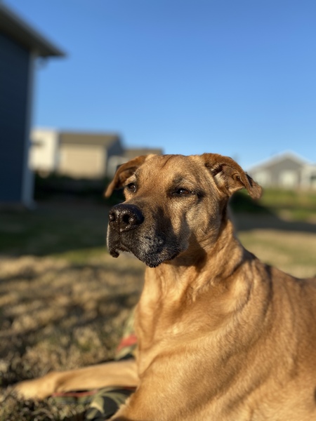 Entry image for Chloe. Clicking this image will show a larger photo