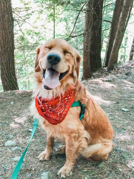 Entry image for Cash. Clicking this image will show a larger photo