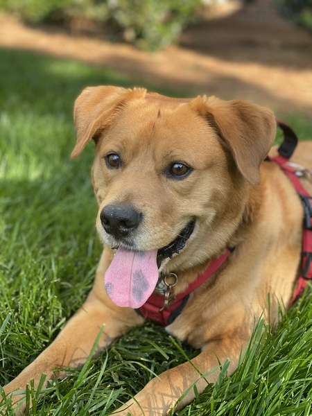 Entry image for Raider. Clicking this image will show a larger photo