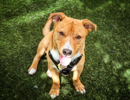 Entry image for Banner. Clicking this image will show a larger photo