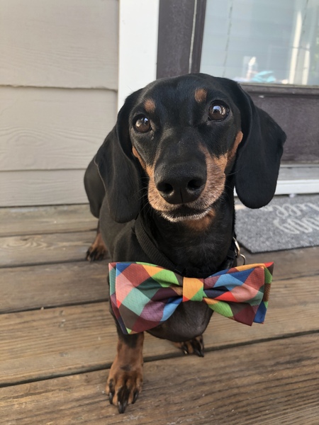 Entry image for Roscoe Ray. Clicking this image will show a larger photo