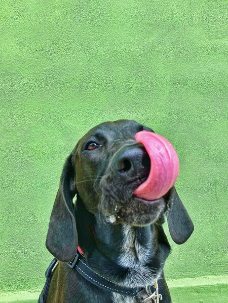 Entry image for Pete. Clicking this image will show a larger photo