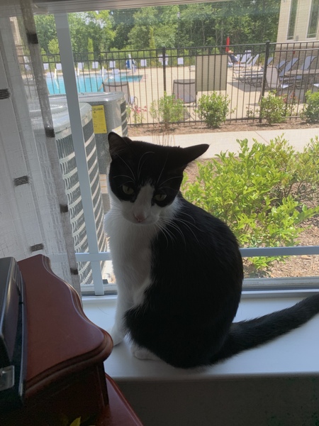 Entry image for Larry Sylvestor. Clicking this image will show a larger photo