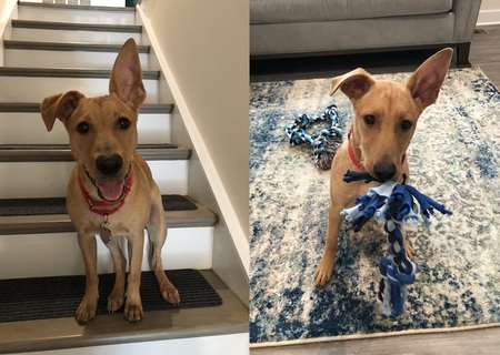 Entry image for Cody. Clicking this image will show a larger photo