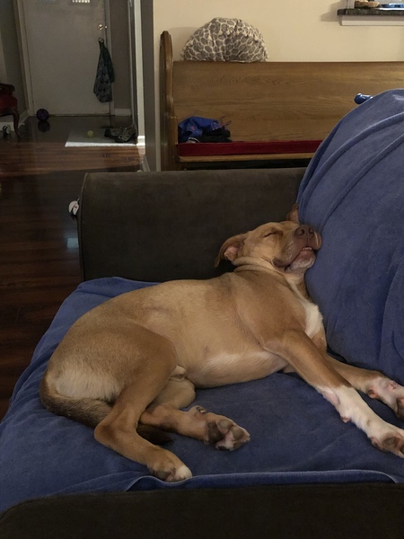 Entry image for Ranger Rick. Clicking this image will show a larger photo