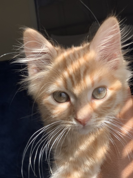 Entry image for Bash . Clicking this image will show a larger photo