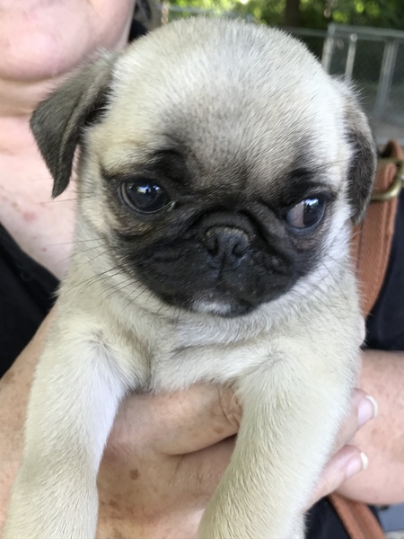 Entry image for Frida . Clicking this image will show a larger photo