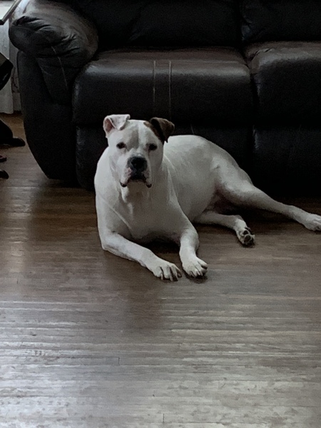 Entry image for Leroy Brown . Clicking this image will show a larger photo