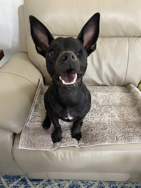 Entry image for Una K. Furman. Clicking this image will show a larger photo