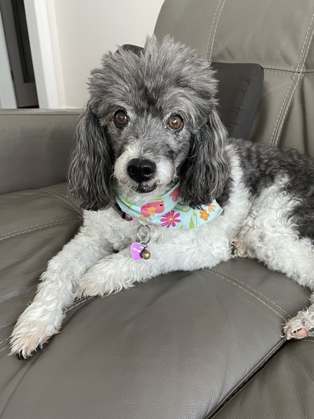 Entry image for Martha. Clicking this image will show a larger photo