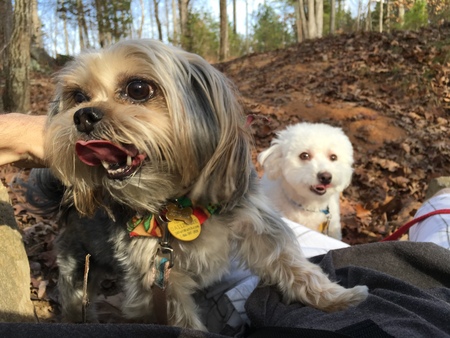 Gracie (and Bear)