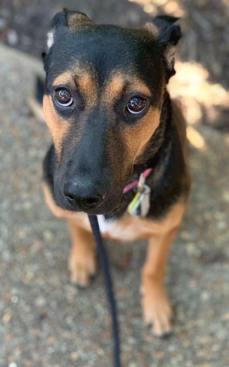 Jynx (adopted name was Milton)