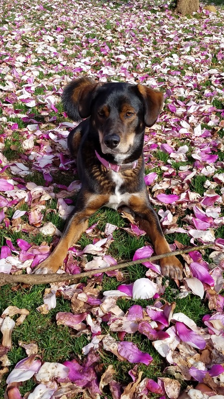 Flynn