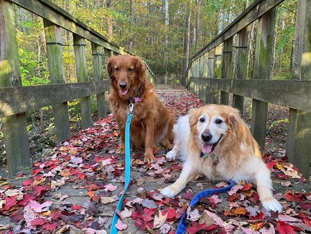 Penny and Rusty 