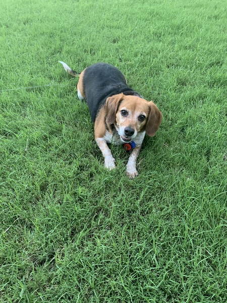 Roxy Baby