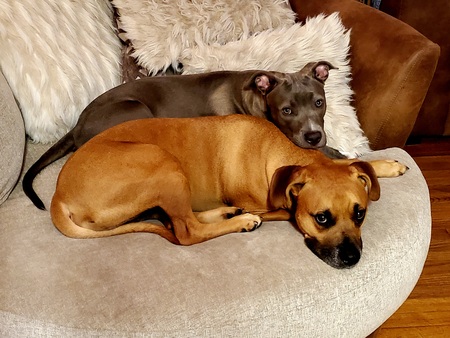 Parker & Willow