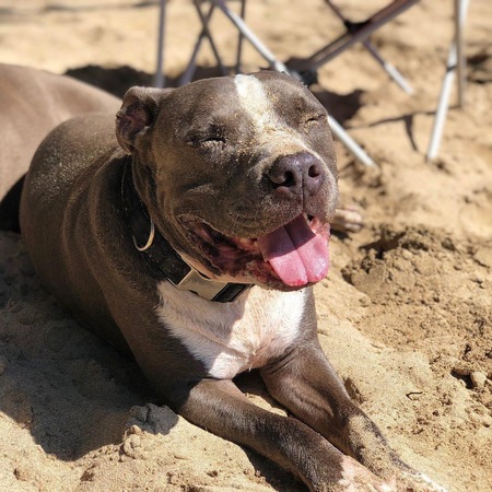 Zeus 