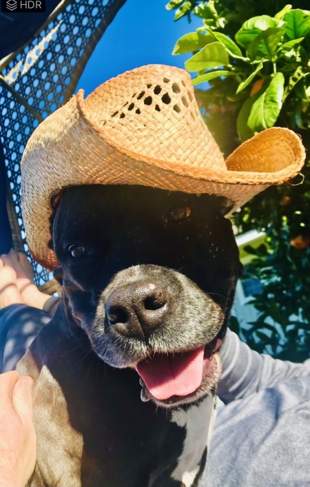 Frankie