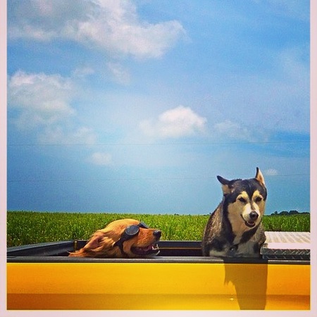 Duke and Taurasi