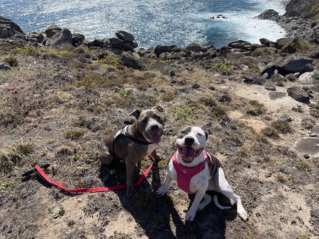 Buddy and Kalea