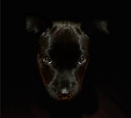Jack