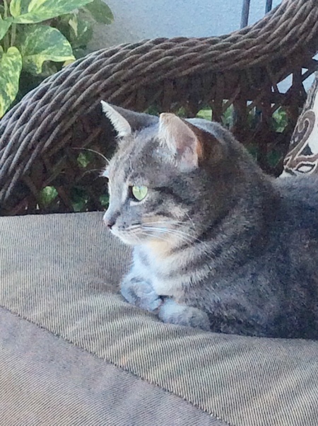 Sophie