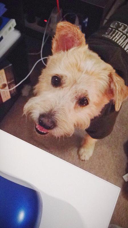 Samson