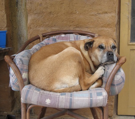 "Big Girl" (on small chair)