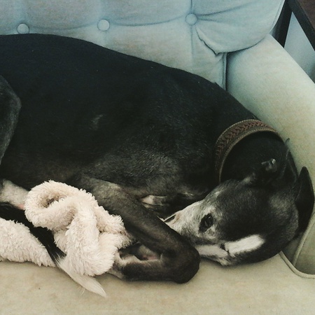 Roger having a Nanna nap