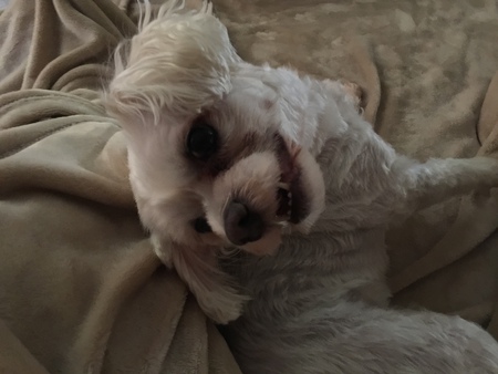 Smiley Sophie 