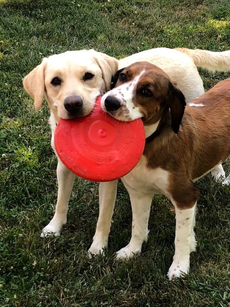 Bixie and Sandy