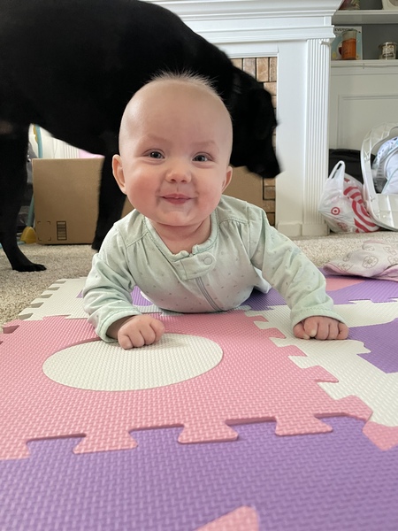 Kamdyn