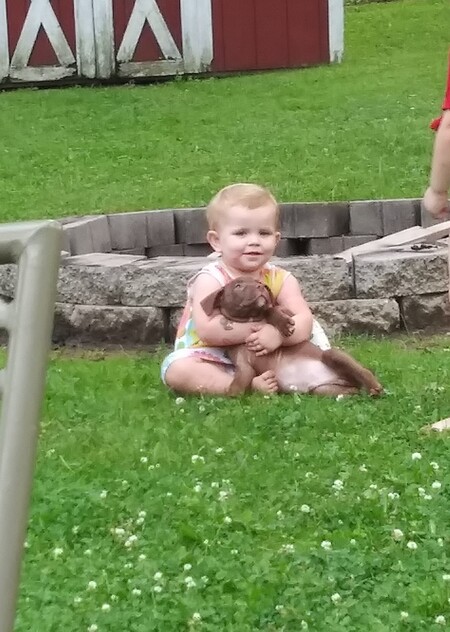 Harper